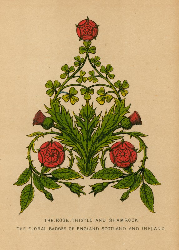 Rosen, Thistle och Shamrock. Blomstermärkena i England, Skottland och Irland av English School