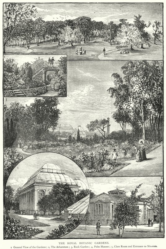 Royal Botanic Gardens (gravyr) av English School