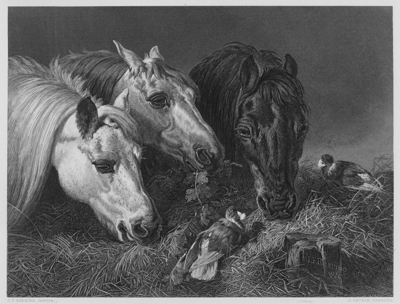 The Scanty Meal, från bilden i Vernon Gallery av English School