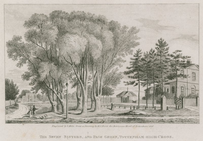 The Seven Sisters och Page Green, Tottenham High-Cross, London av English School