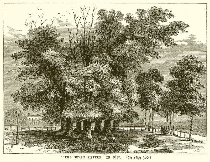De sju systrarna 1830 av English School