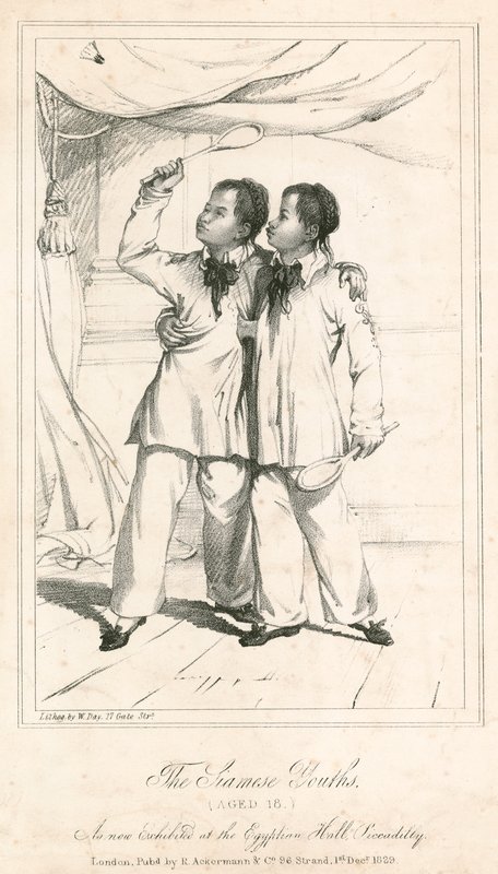 The Siamese Youths (18 år), en ny utställning i Egyptian Hall, Piccadilly av English School