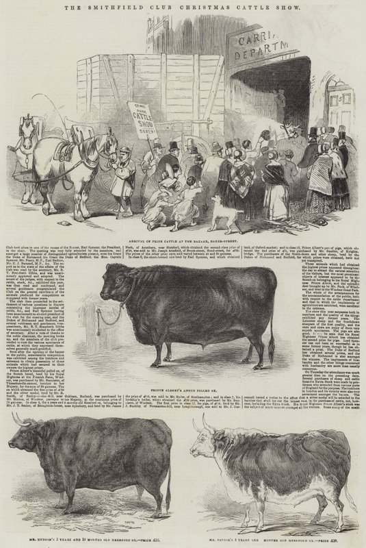 The Smithfield Club Christmas Cattle Show (gravyr) av English School