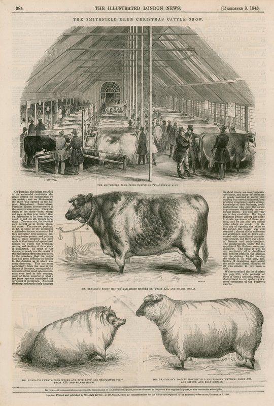 Smithfield Club Christmas Cattle Show av English School