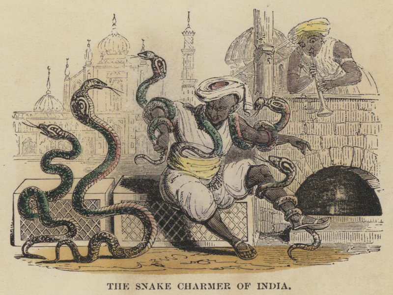 The Snake Charmer of India (färgad gravyr) av English School