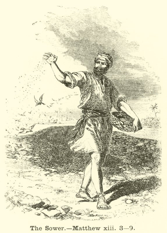 Såningsmannen, Matteus, xiii, 3, 9 av English School