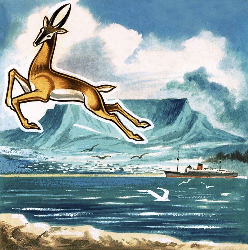 Springbok, nembo ya Afrika Kusiniswed av English School