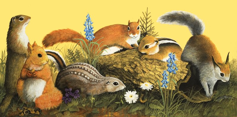 The Squirrel Family, illustration från "Once Upon a Time" (gouache på papper) av English School