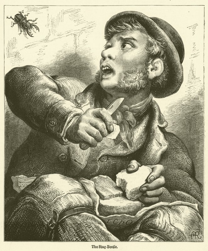 Hjortens bäver (gravyr) av English School