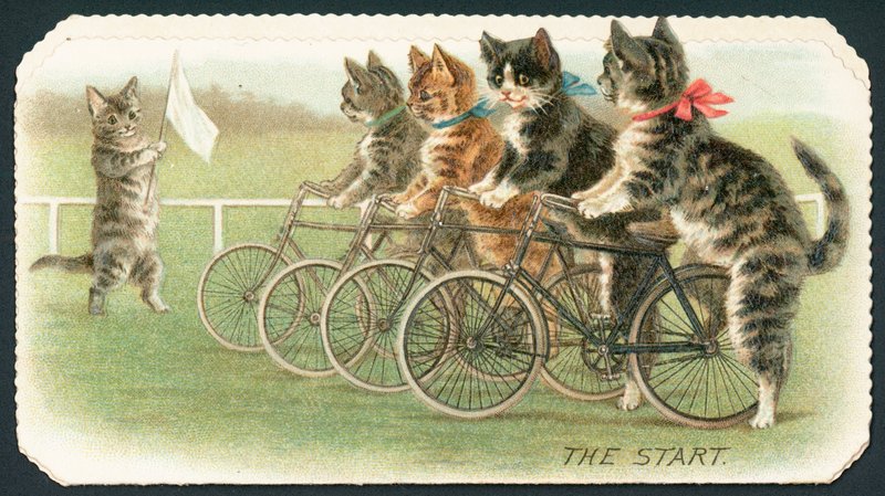 Starten, Cat Cycle Race, Julkort av English School