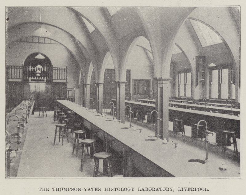 Thompson-Yates Histology Laboratory, Liverpool (gravyr) av English School