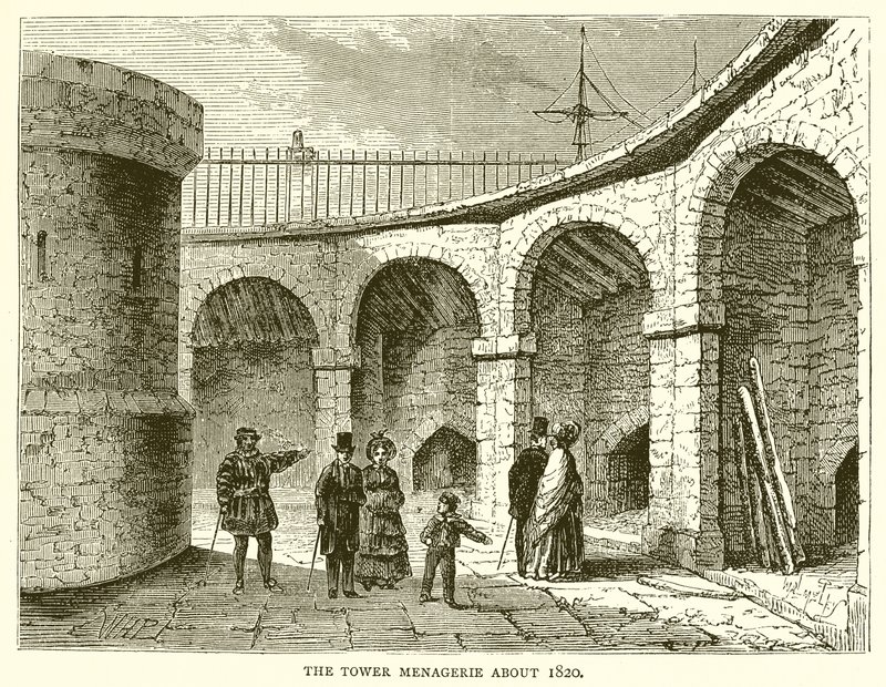 Tornmenageriet omkring 1820 av English School