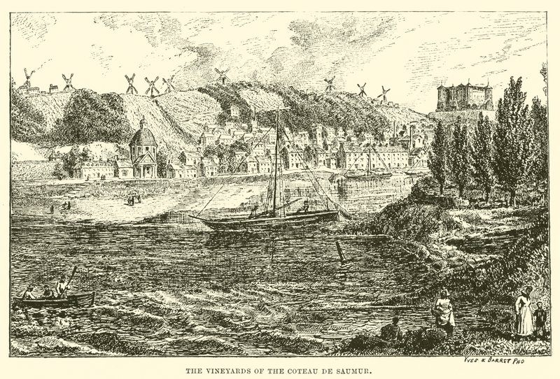 Vingårdarna i Coteau de Saumur (gravyr) av English School