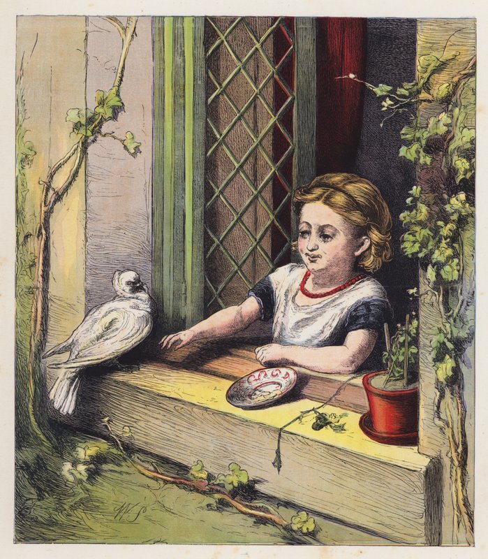 Den vita duvan (färglitografi) av English School