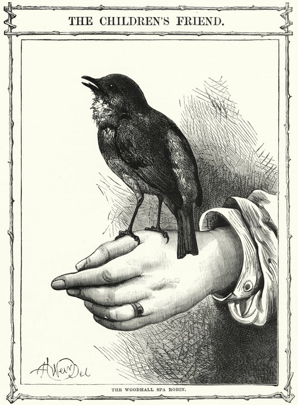 Woodhall Spa Robin (gravyr) av English School
