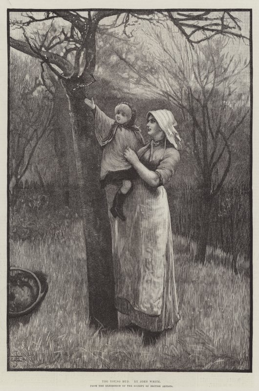The Young Bud (gravyr) av English School