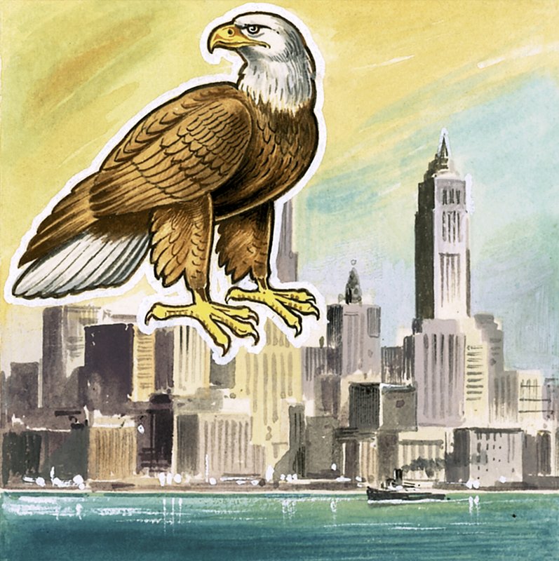 Den kala örnen, USA:s emblem av English School