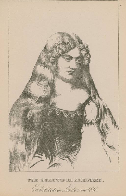 Den vackra albiniteten, utställd i London 1810 av English School