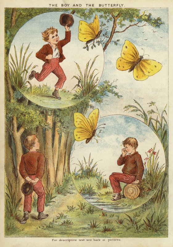 Pojken och fjärilen (chromolitho) av English School