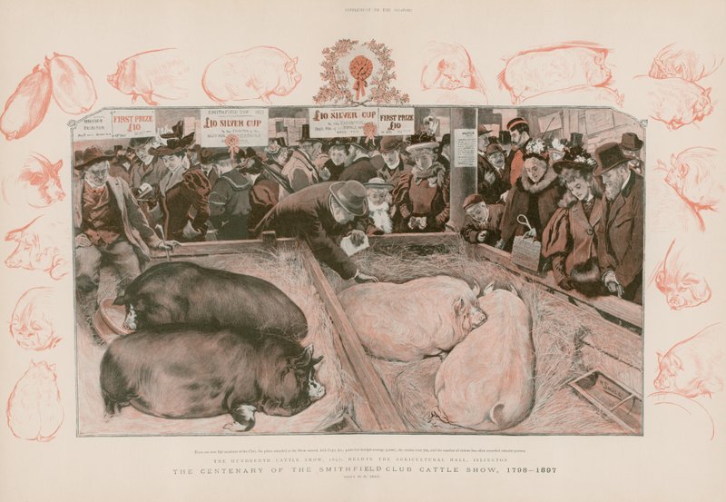 Hundraårsjubileet av Smithfield Club Cattle Show av English School