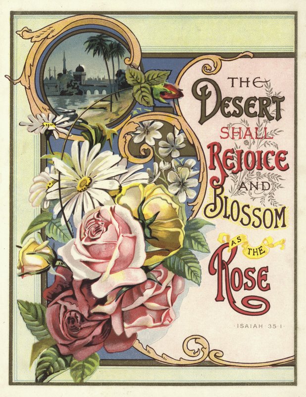 Öknen ska glädjas och blomma som rosen av English School