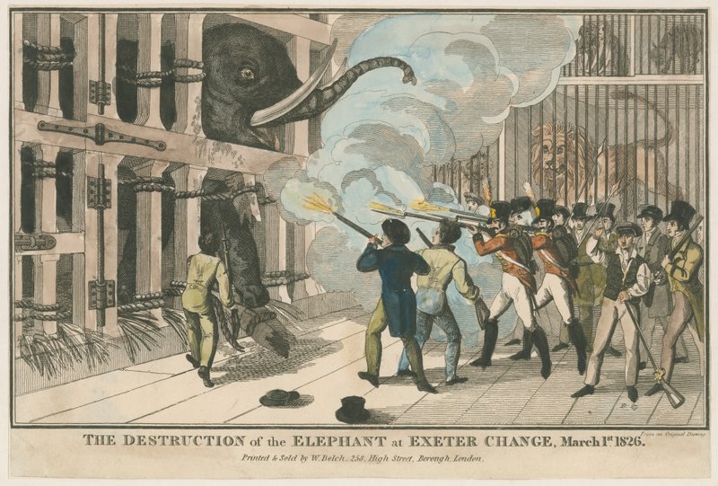 Förstörelsen av elefanten vid Exeter Change, 1 mars 1826 av English School
