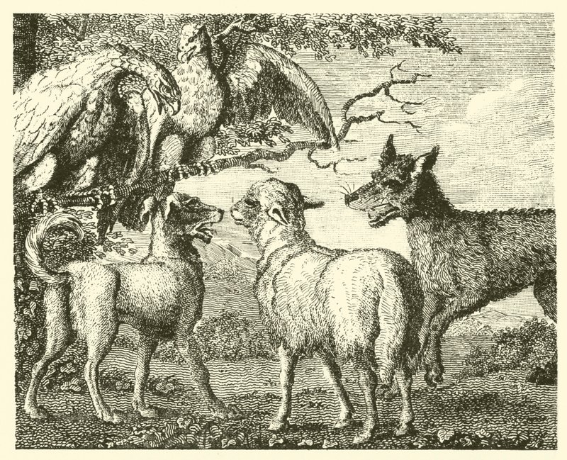 Hunden och fåret (gravyr) av English School
