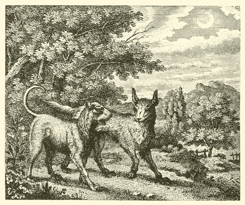 Hunden och vargen (gravyr) av English School