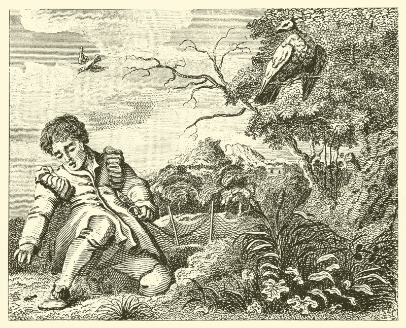 Duvan och myran (gravyr) av English School