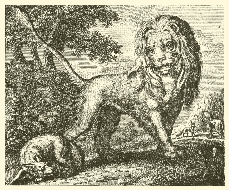Räven och lejonet (gravyr) av English School