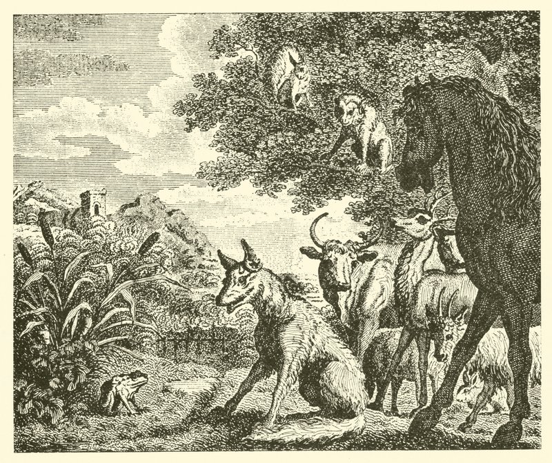 Grodan och räven (gravyr) av English School