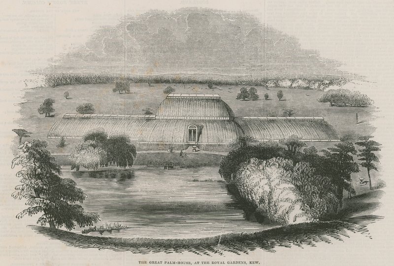 Det stora palmhuset vid Royal Gardens, Kew, London av English School