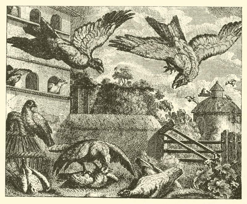 Draken och duvorna (gravyr) av English School