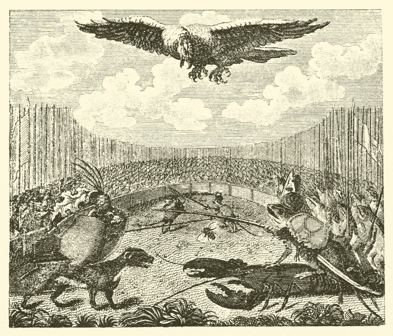 Draken, grodan och musen (gravyr) av English School