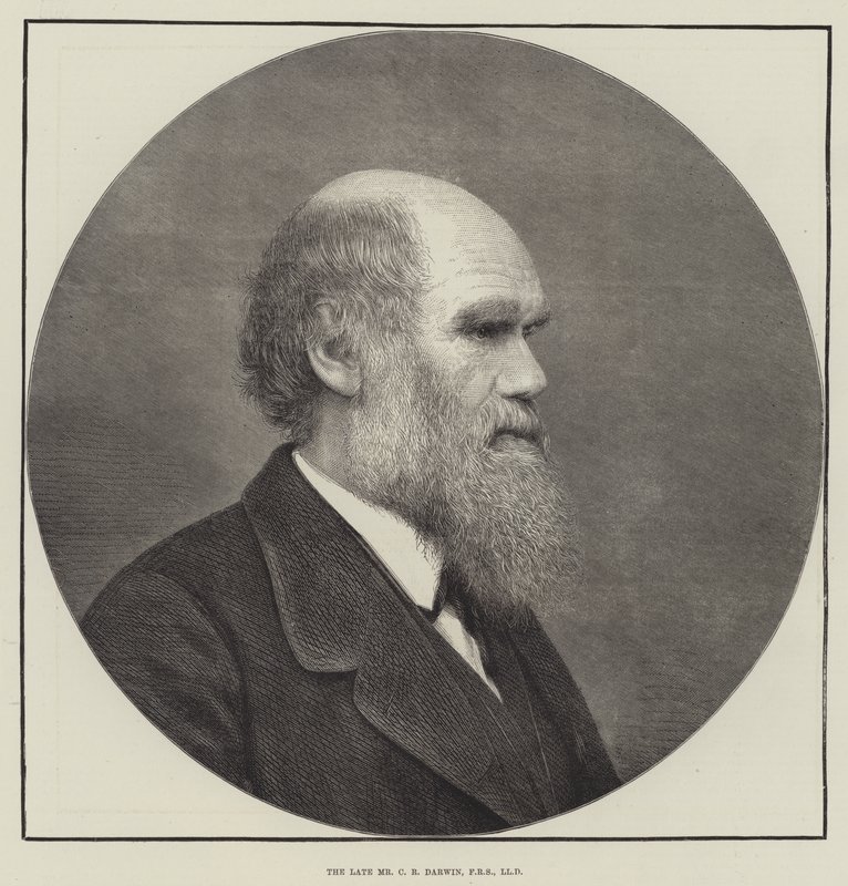 Den framlidne Mr CR Darwin, FRS, LLD av English School