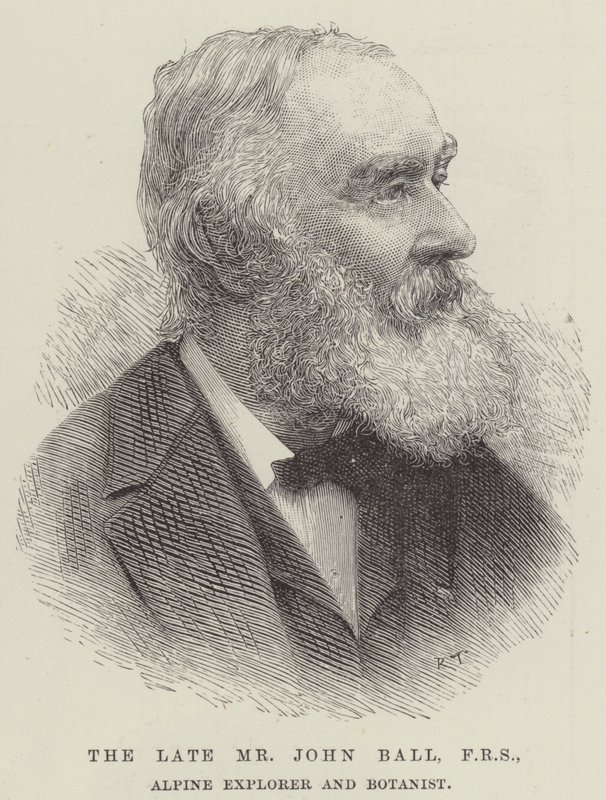 Den framlidne Mr John Ball, FRS, Alpine Explorer and Botanist (gravyr) av English School