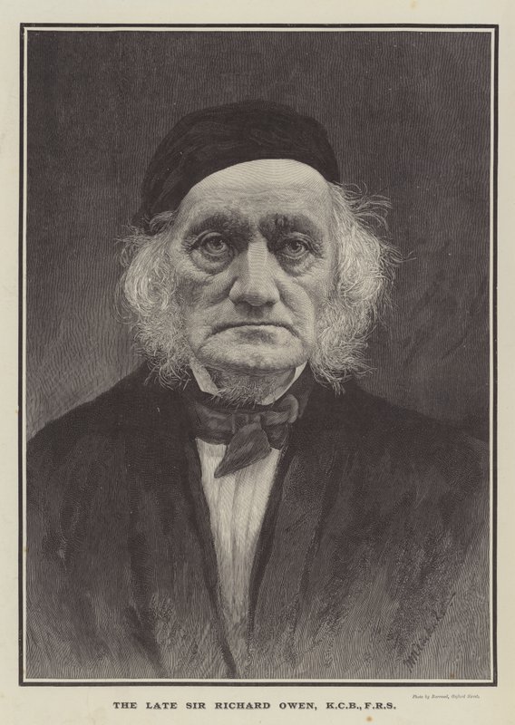 Den framlidne Sir Richard Owen, KCB, FRS (gravyr) av English School