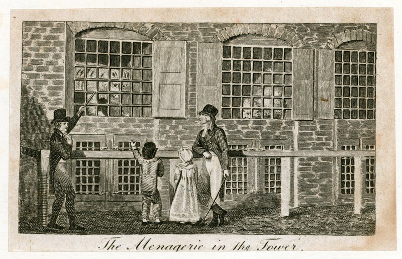 Menageriet i Tower of London omkring 1820 av English School