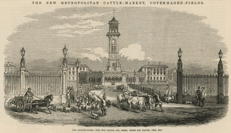 Den nya Metropolitan Cattle Market, Copenhagen Fields av English School