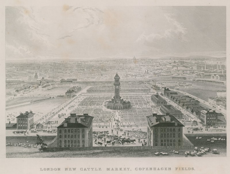 Den nya Metropolitan Cattle Market, Copenhagen Fields, London av English School