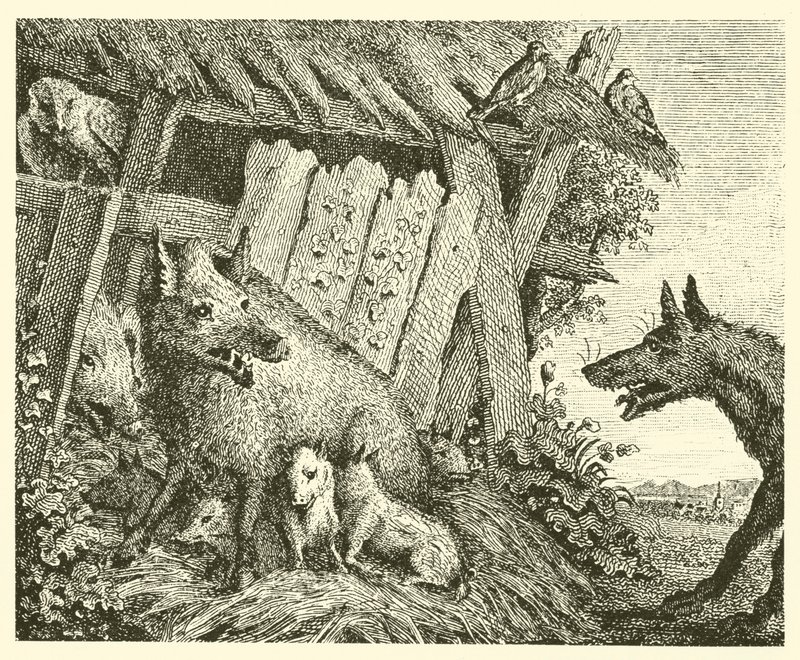 Suggan och vargen (gravyr) av English School