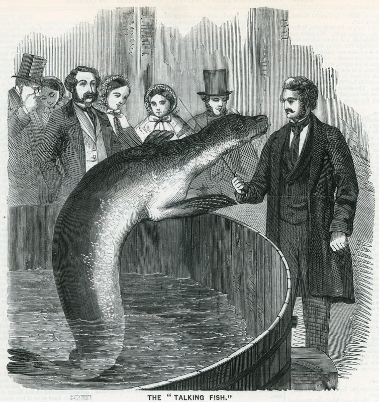 Den talande fisken av English School