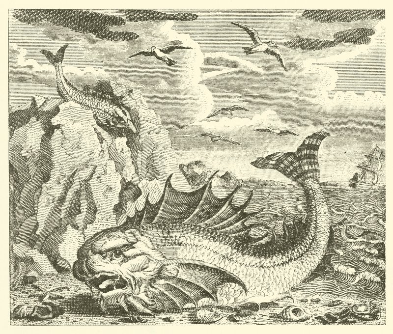 Tunnan och delfinen (gravyr) av English School