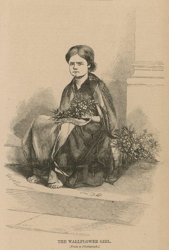 Väggblommatjejen av English School
