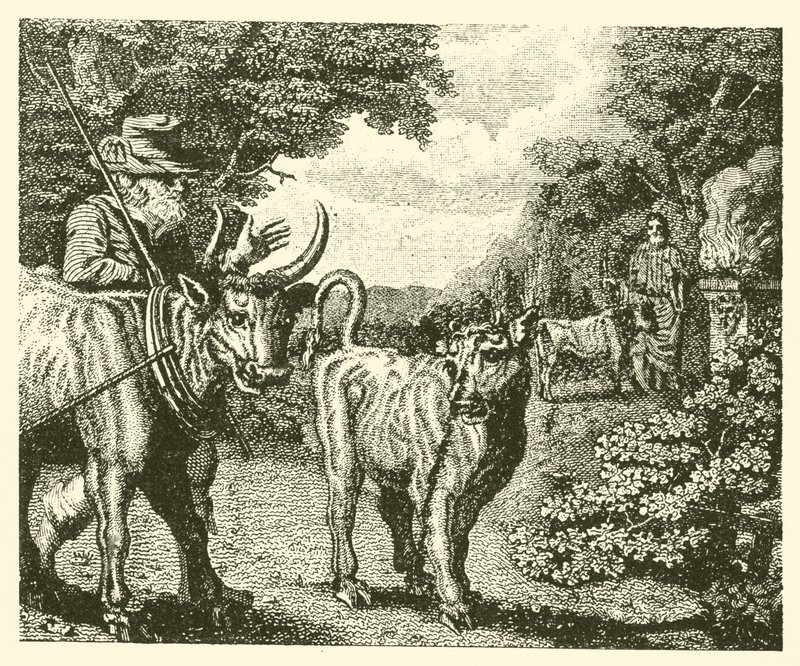 Den vildsinta kalven (gravyr) av English School