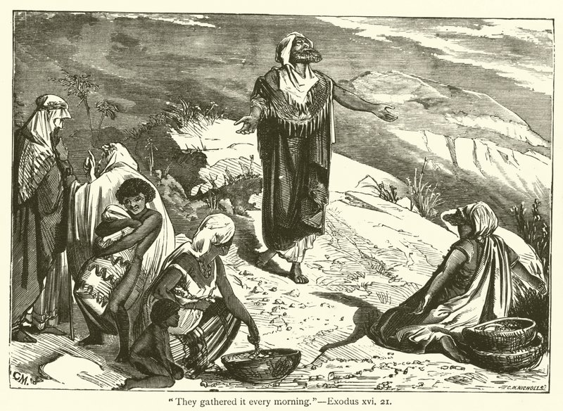 "De samlade det varje morgon", 2 Mosebok, xvi, 21 (gravyr) av English School