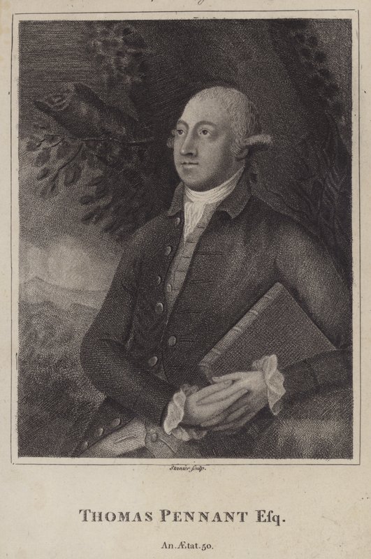 Thomas Pennant, walesisk naturforskare och topograf (gravyr) av English School