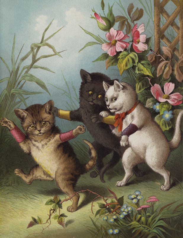 Tre små kattungar i en trädgård (chromolitho) av English School