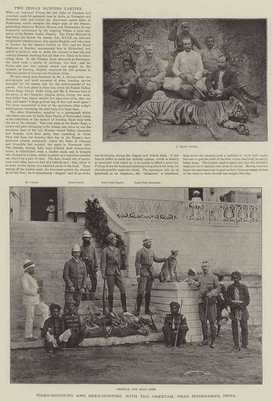 Tigerskytte och hjortjakt med geparden, nära Hyderabad, Indien (gravyr) av English School