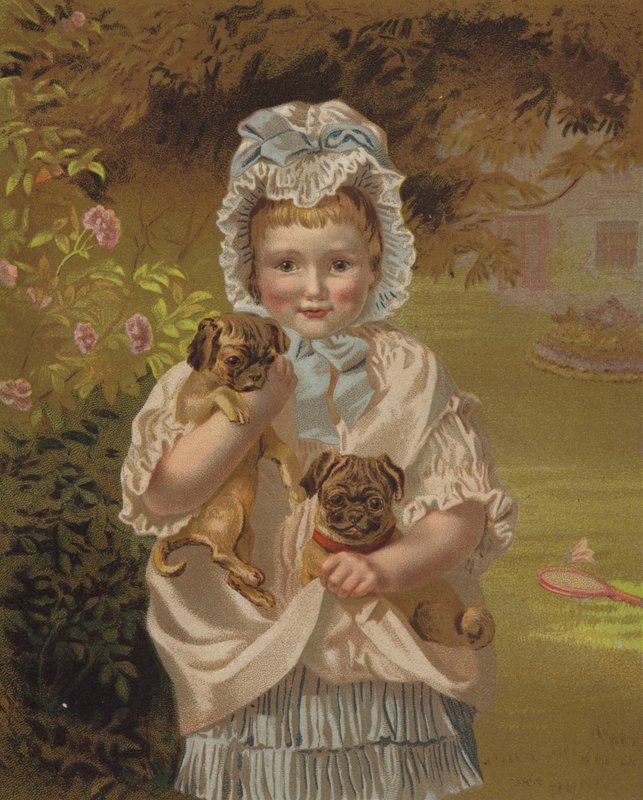 Små husdjur (chromolitho) av English School